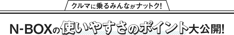 N-BOX̎g₷̃|CgJ